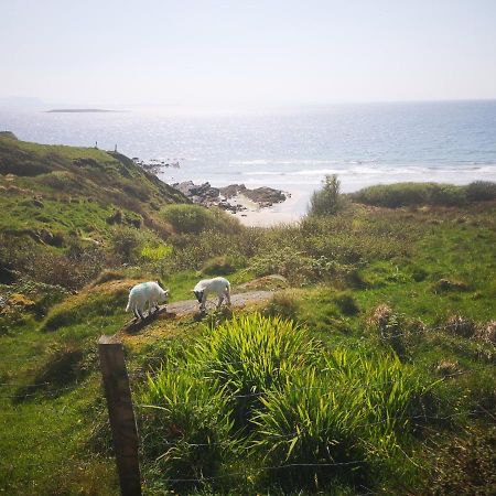 Anne'S Thatched Cottage Kilcar Extérieur photo