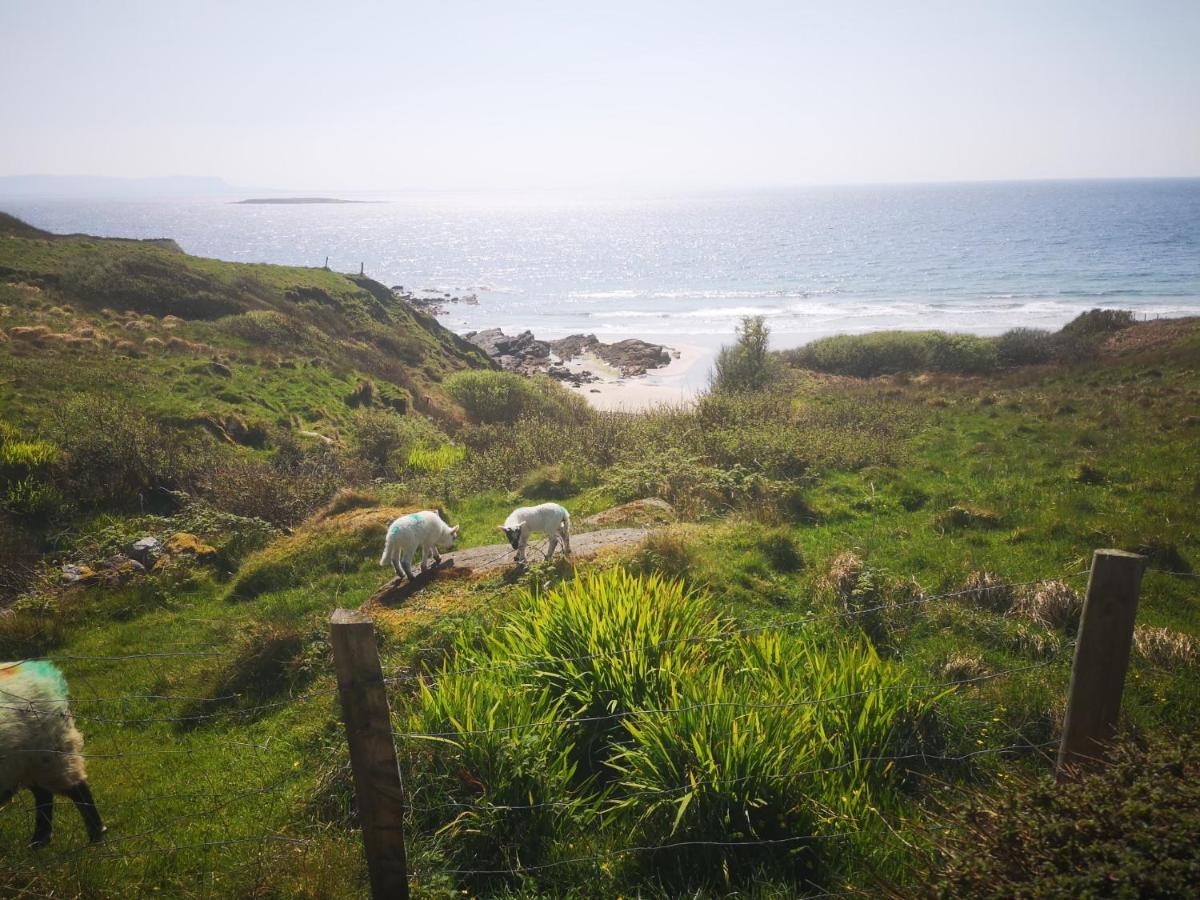 Anne'S Thatched Cottage Kilcar Extérieur photo